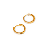 Brinco de Argola Cristalina Banhado em Ouro 18k - Fundo Branco